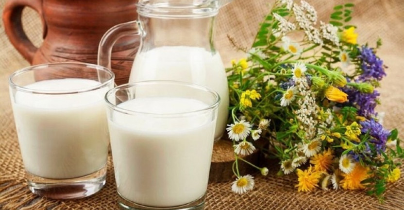 Ростовская область на 5 месте в России по объему производства молока