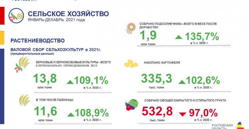 Производство основных видов продукции растениеводства за 2021 год