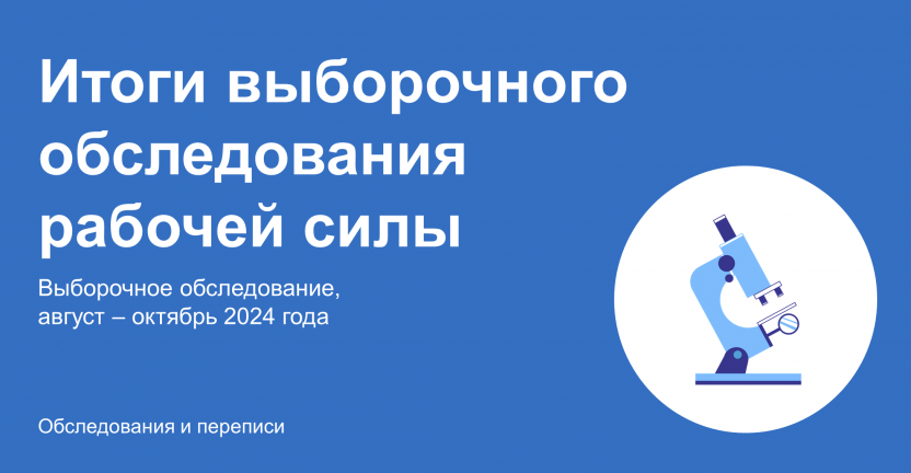 Итоги выборочного обследования рабочей силы за август-октябрь 2024 года